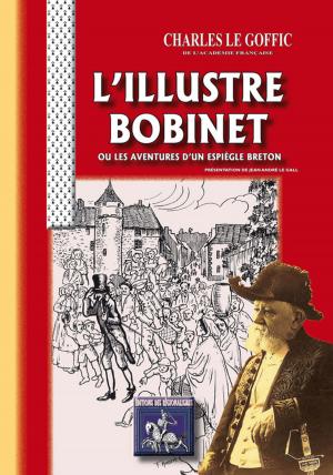Book cover of L'illustre Bobinet
