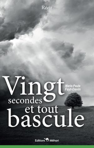 Cover of the book Vingt secondes et tout bascule by Aliya Smyth