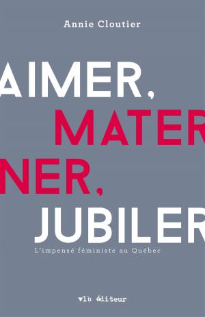 Cover of the book Aimer, materner, jubiler by Lucie Dufresne