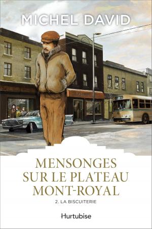 Cover of the book Mensonges sur le Plateau Mont-Royal T2 by Luc Gélinas