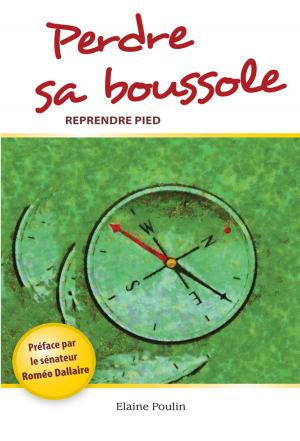 Cover of the book Perdre sa boussole, reprendre pied by hanne love moukouelle