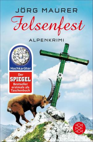 Cover of the book Felsenfest by Barbara Wood