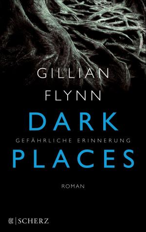 Cover of the book Dark Places - Gefährliche Erinnerung by 