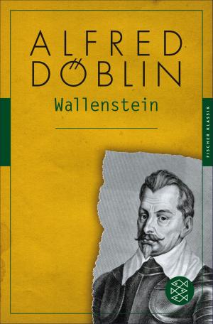 Cover of the book Wallenstein by Theodor Fontane