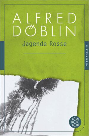 Cover of the book Jagende Rosse by Robert Gernhardt