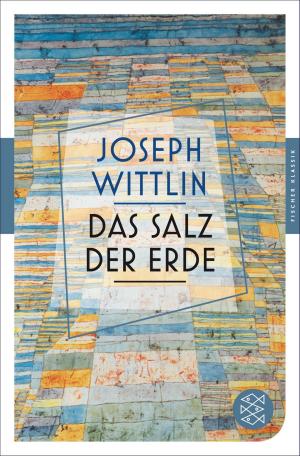 Book cover of Das Salz der Erde