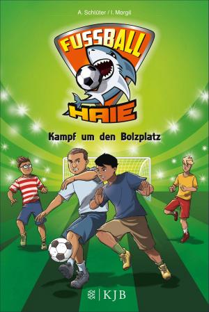 Cover of the book Fußball-Haie: Kampf um den Bolzplatz by Janet Foxley