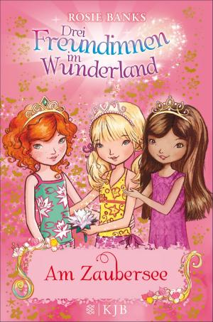 Cover of the book Drei Freundinnen im Wunderland: Am Zaubersee by Nic Balthazar