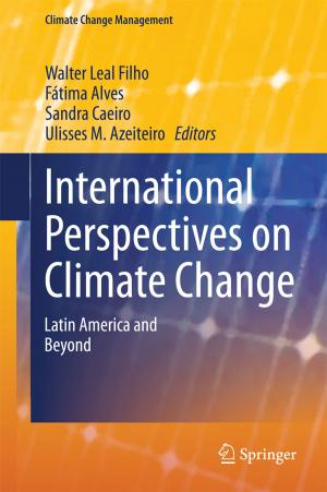 Cover of the book International Perspectives on Climate Change by Christian Bréthaut, Géraldine Pflieger