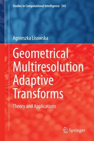 Cover of the book Geometrical Multiresolution Adaptive Transforms by Kolumban Hutter, Irina P. Chubarenko, Yongqi Wang