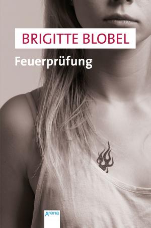 Book cover of Feuerprüfung