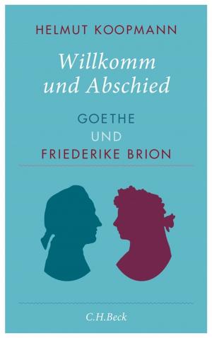 Cover of the book Willkomm und Abschied by Hans-Dieter Gelfert