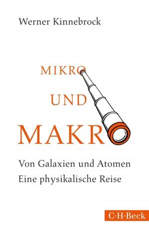 Cover of the book Mikro und Makro by Norbert Hoerster