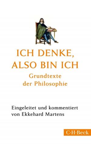 Cover of the book Ich denke, also bin ich by Martin Lambeck