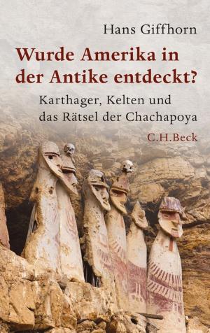 Cover of the book Wurde Amerika in der Antike entdeckt? by Sybille Steinbacher