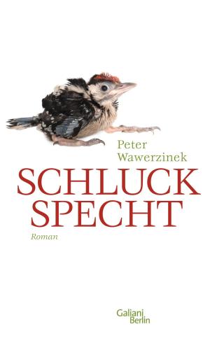 Cover of the book Schluckspecht by Benjamin v. Stuckrad-Barre