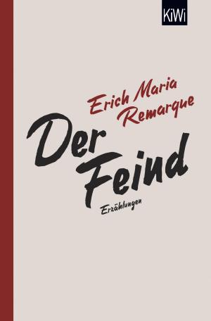 Book cover of Der Feind