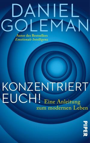 Cover of the book Konzentriert Euch! by Regina Meißner