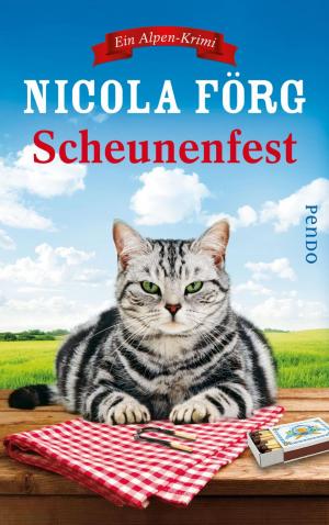 Cover of the book Scheunenfest by Melanie Metzenthin