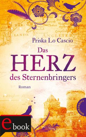 Cover of the book Das Herz des Sternenbringers by Astrid Frank, bürosüd° GmbH