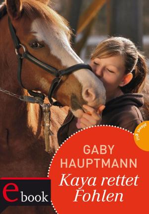 Book cover of Kaya - frei und stark 9: Kaya rettet Fohlen