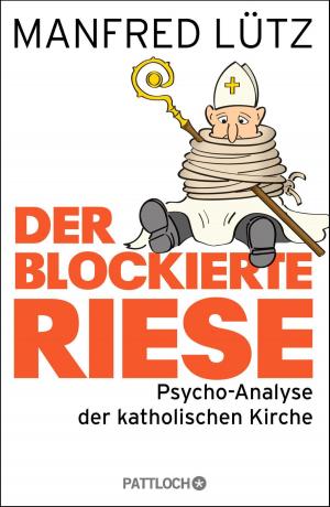 Cover of the book Der blockierte Riese by Wolfgang Bergmann