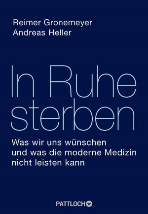 Book cover of In Ruhe sterben