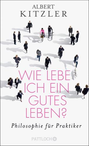 Cover of the book Wie lebe ich ein gutes Leben? by Wolfgang Bergmann