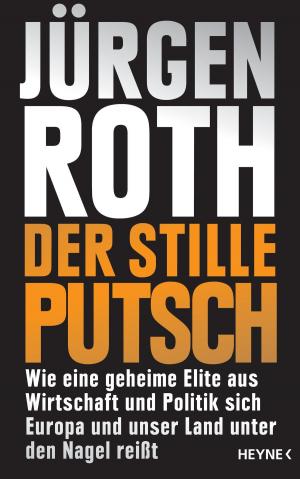 Cover of the book Der stille Putsch by Björn Arp