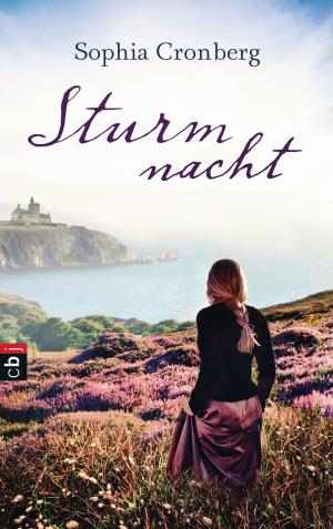 Cover of the book Sturmnacht by Usch Luhn