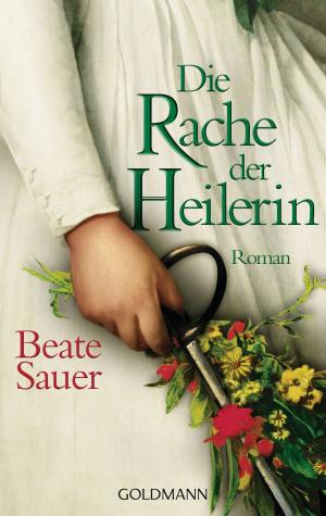 Cover of the book Die Rache der Heilerin by Christian Busemann