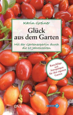 Cover of the book Glück aus dem Garten by Jonas Hassen Khemiri