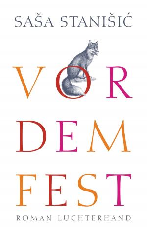Cover of the book Vor dem Fest by Franz Hohler