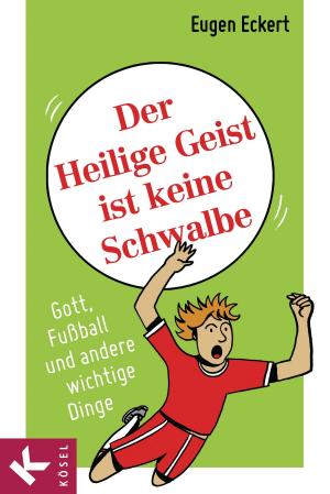 Cover of the book Der Heilige Geist ist keine Schwalbe by Claudia Croos-Müller
