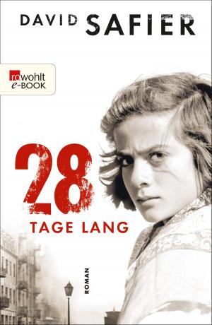 Cover of the book 28 Tage lang by Mara Schindler