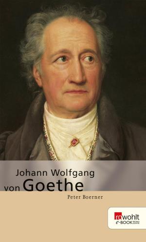 Cover of the book Johann Wolfgang von Goethe by Wolfgang Herrndorf