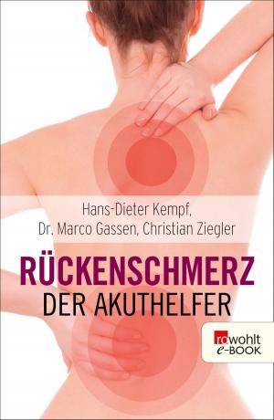 Book cover of Rückenschmerz: Der Akuthelfer