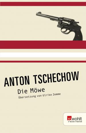 Cover of the book Die Möwe by Cormac McCarthy