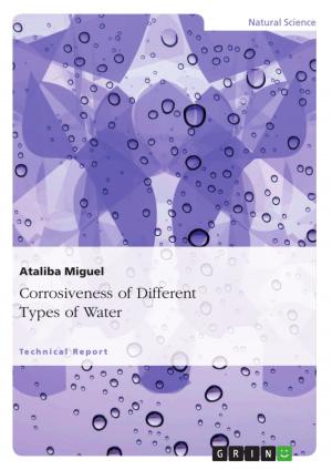 Cover of the book Corrosiveness of Different Types of Water by André Matthias Müller
