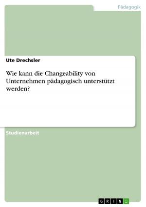 Cover of the book Wie kann die Changeability von Unternehmen pädagogisch unterstützt werden? by Domenic Schäfer