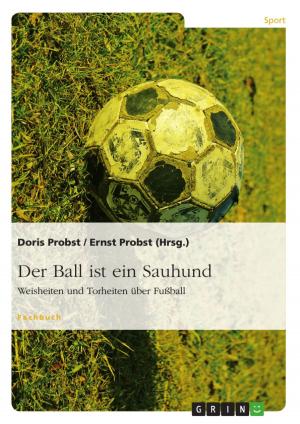 Cover of the book Der Ball ist ein Sauhund by Janina Schnormeier