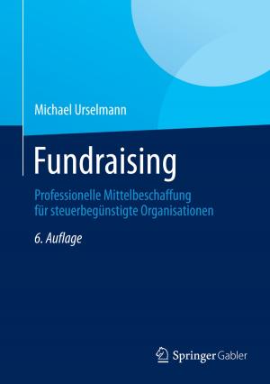 Cover of the book Fundraising by Werner Boysen
