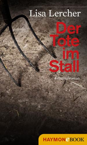 Cover of the book Der Tote im Stall by Klaus Merz