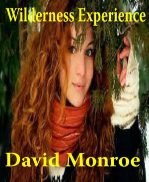 Cover of the book Wilderness Experience, A Short Story by Preston Randall