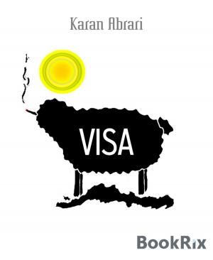 Cover of the book VISA by Mattis Lundqvist
