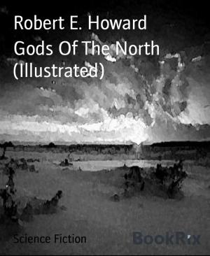 Cover of the book Gods Of The North (Illustrated) by Julie Steimle