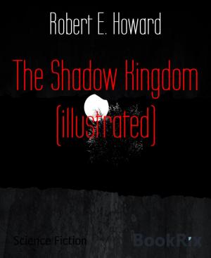 Cover of the book The Shadow Kingdom (illustrated) by Shane Jansens van Rensburg