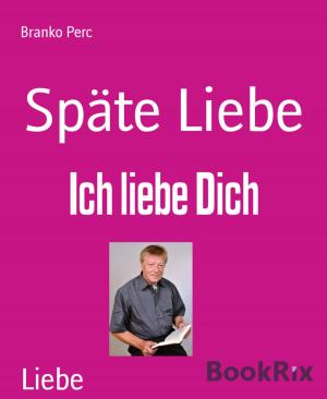 Cover of the book Späte Liebe by Petronius Arbiter