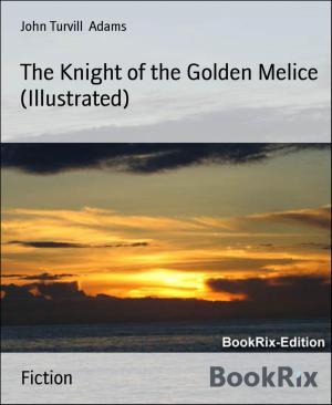 Cover of the book The Knight of the Golden Melice (Illustrated) by Ulrich R. Rohmer