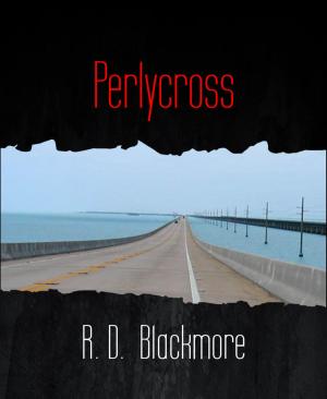 Cover of the book Perlycross by Paul van Herck